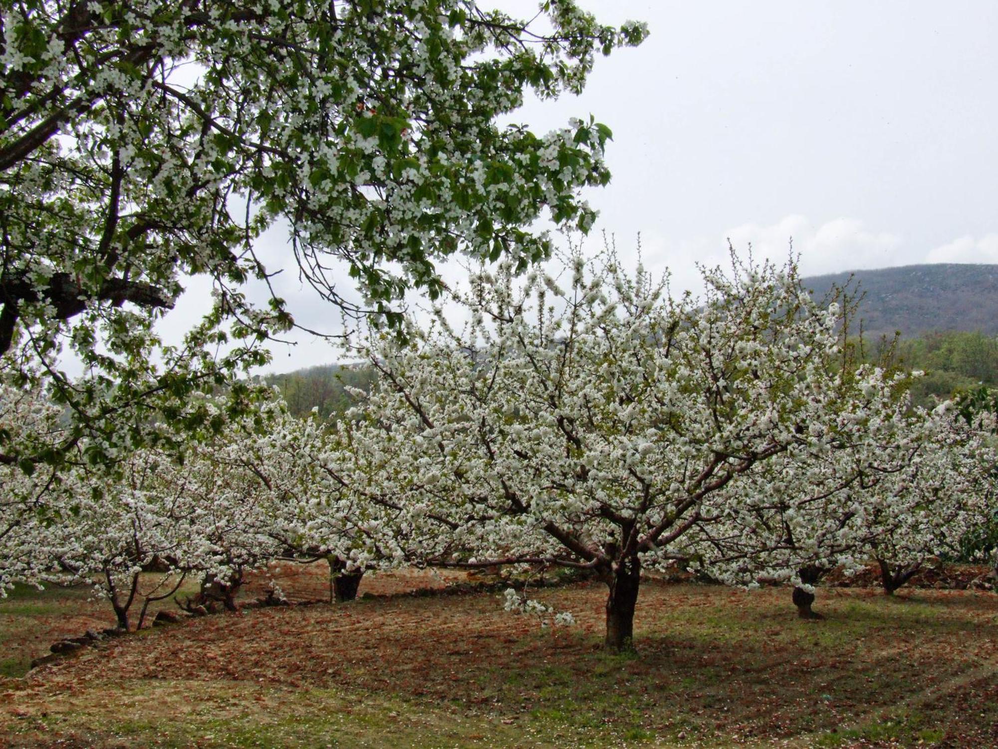גרגאנטה לה אולה Hotel Rural Carlos I מראה חיצוני תמונה