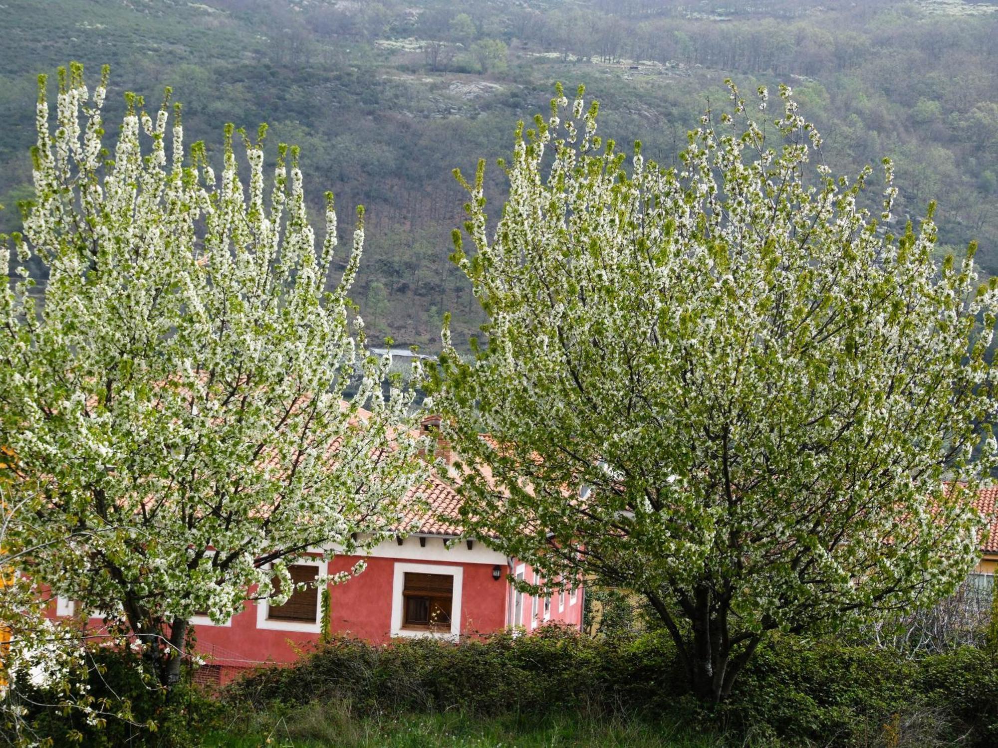 גרגאנטה לה אולה Hotel Rural Carlos I מראה חיצוני תמונה